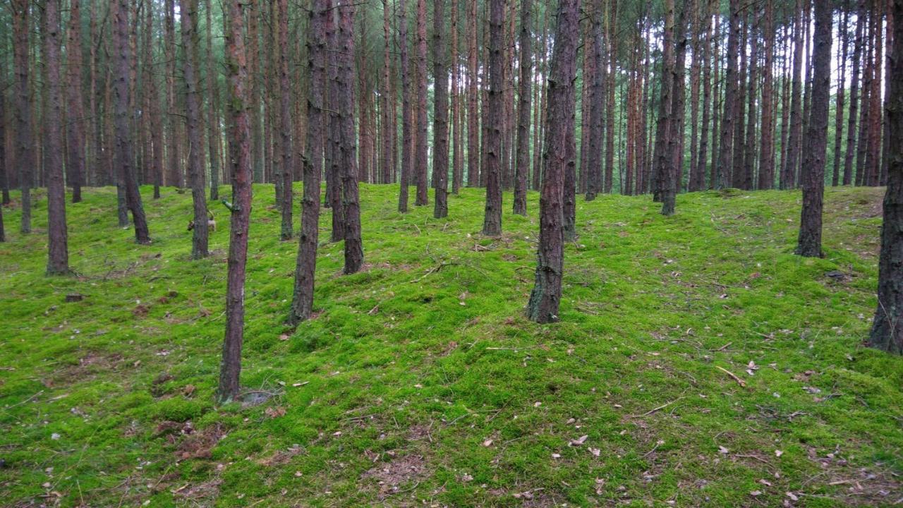 Wesoła * Danzig